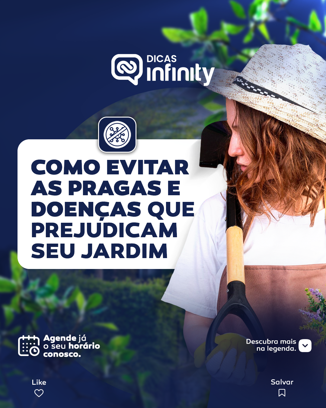 Como evitar as pragas e doenças que prejudicam seu jardim
